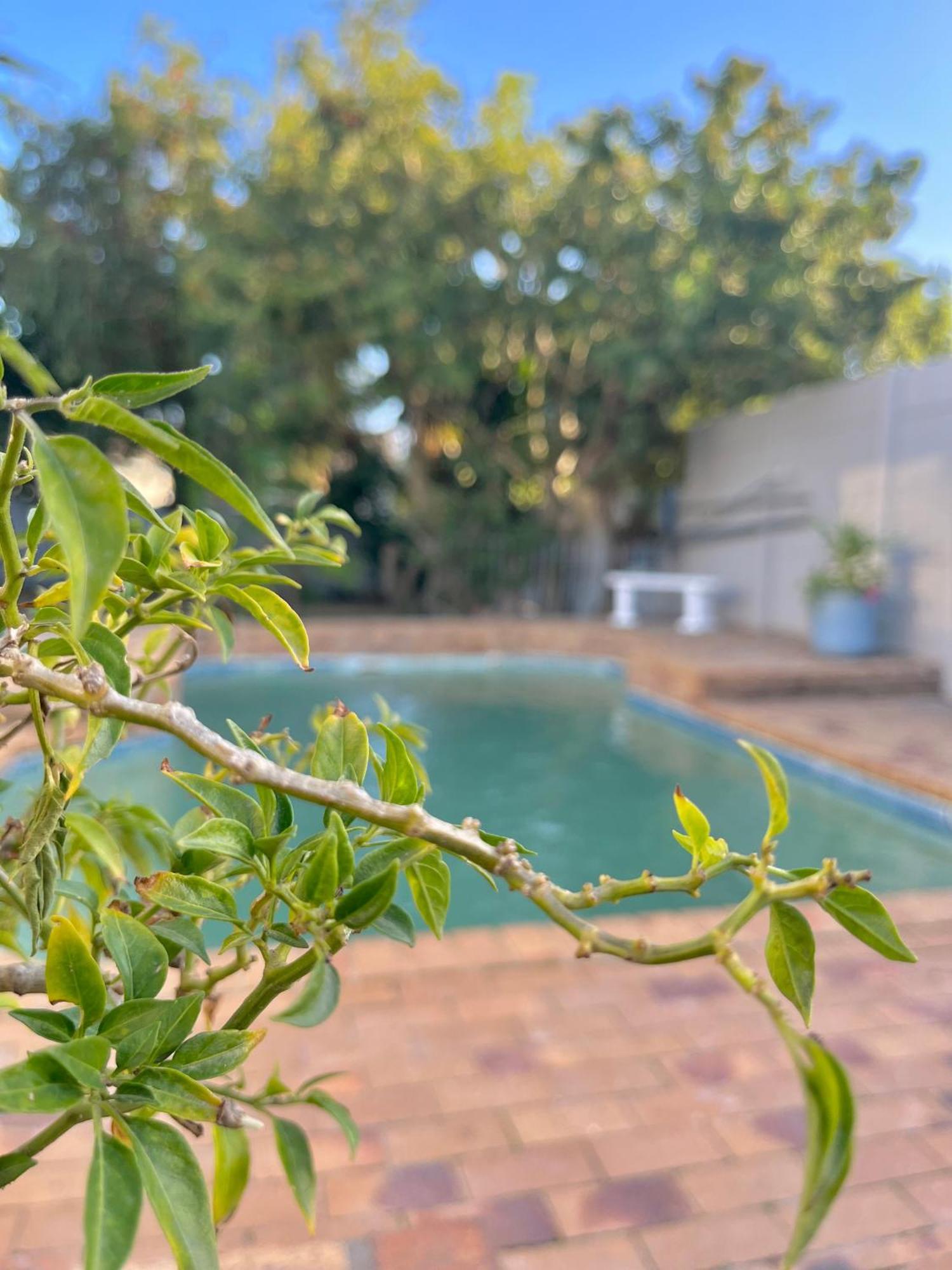 Holiday home 3 Bedroom Family With Pool
